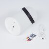 Lampe à poser Chilar LED Noir, Blanc, 1 lumière, Télécommandes, Changeur de couleurs