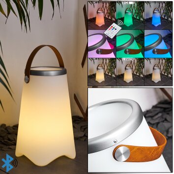 Lampe à poser Chilar LED Brun, Blanc, 1 lumière, Télécommandes, Changeur de couleurs