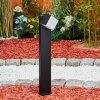 Borne lumineuse Swanek LED Noir, 1 lumière