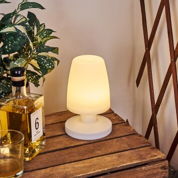 Lampe à poser Vallardo LED Blanc, 1 lumière