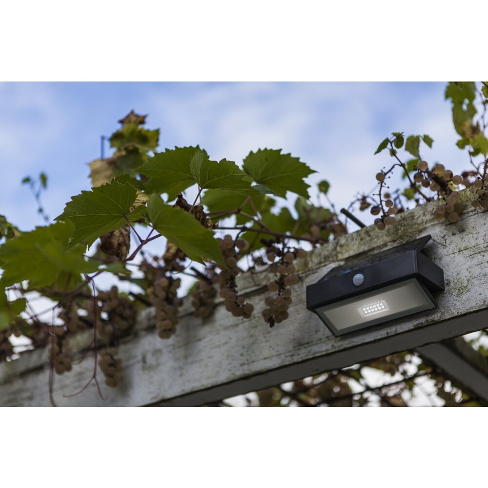 Applique murale d'extérieur Lutec Arrow LED Anthracite, 1 lumière, Détecteur de mouvement main product photo