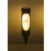 Lampe solaire Globo FRITT LED Noir, 1 lumière, Changeur de couleurs