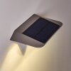 Lampe solaire Camden LED Gris, 1 lumière, Détecteur de mouvement