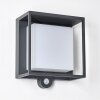 Applique murale d'extérieur Lansing LED Anthracite, 1 lumière, Détecteur de mouvement