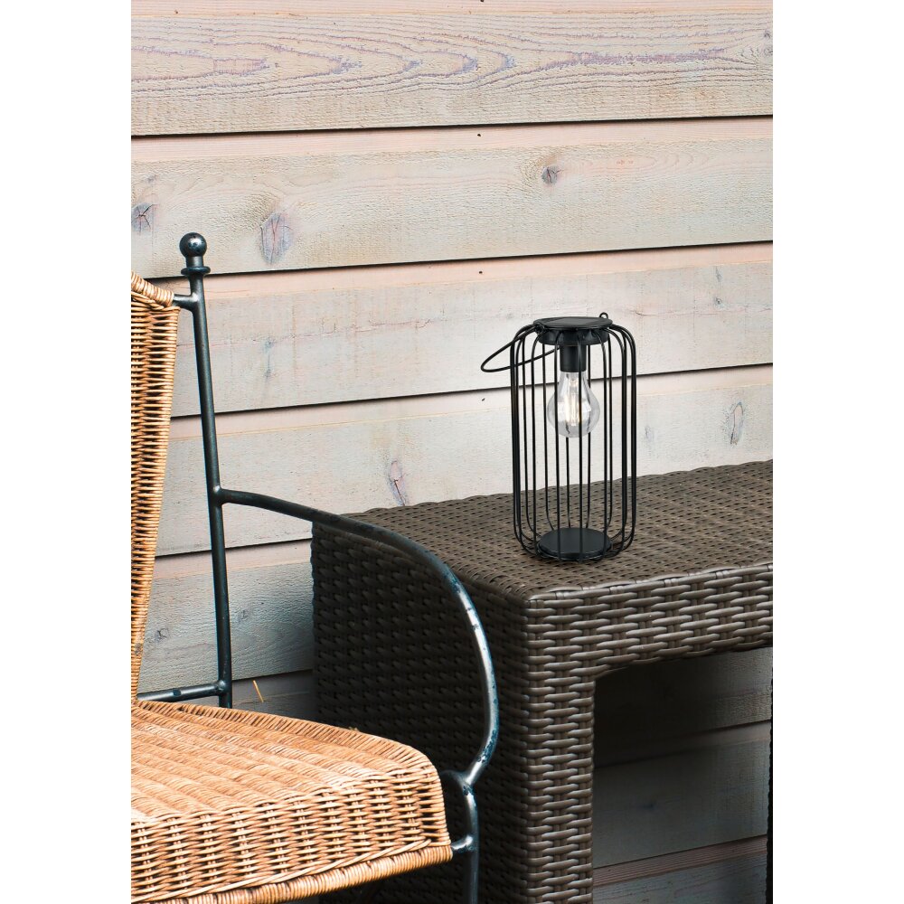 Lampe solaires Reality Cotoca LED Noir, 1 lumière main product photo