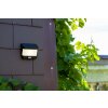 Lampe solaires Lutec TRY LED Anthracite, 1 lumière, Détecteur de mouvement