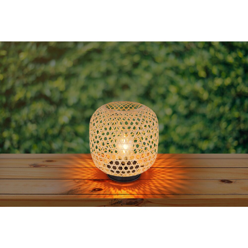 lampe solaire Globo LED Brun, 1 lumière main product photo