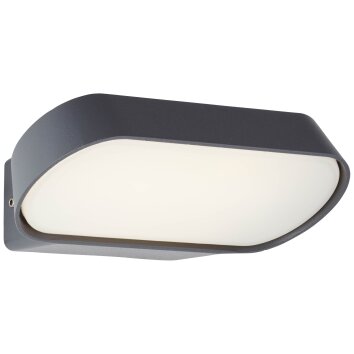 Applique murale d'extérieur Brillliant Samira LED Noir, 1 lumière