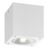 plafonnier extérieur LCD 5029 LED Blanc, 1 lumière