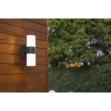 Applique murale d'extérieur Lutec CYRA LED Noir, 2 lumières