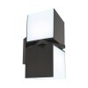 Applique murale d'extérieur Lutec CUBA LED Anthracite, 2 lumières