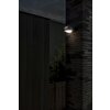 Applique murale d'extérieur Lutec Fele LED Anthracite, 1 lumière