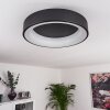 Plafonnier Pine LED Noir, 1 lumière