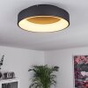 Plafonnier Pine LED Noir, 1 lumière