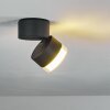 plafonnier extérieur Papagayos LED Anthracite, Blanc, 1 lumière, Changeur de couleurs