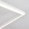 Plafonnier Pourao LED Blanc, 1 lumière
