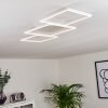 Plafonnier Pourao LED Blanc, 1 lumière