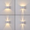 Applique murale d'extérieur Everton LED Blanc, 2 lumières