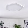 Plafonnier Fanebal LED Blanc, 1 lumière