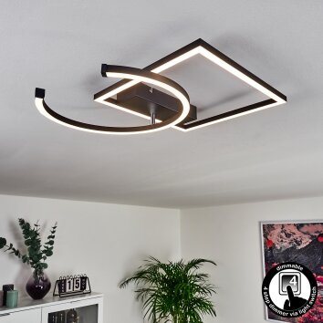 Plafonnier Frederick LED Noir, Blanc, 1 lumière