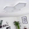 Plafonnier Fanebal LED Blanc, 1 lumière