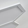 Plafonnier Fanebal LED Blanc, 1 lumière