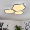 Plafonnier Fanebal LED, 1 lumière