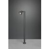 Borne lumineuse Trio Kaveri Anthracite, 1 lumière