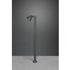 Borne lumineuse Trio Kaveri Anthracite, 1 lumière