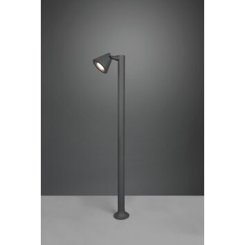 Borne lumineuse Trio Kaveri Anthracite, 1 lumière