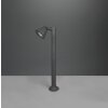 Borne lumineuse Trio Kaveri Anthracite, 1 lumière