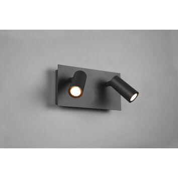 Applique murale d'extérieur Trio Tunga LED Anthracite, 2 lumières