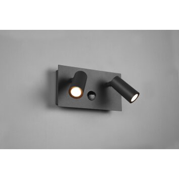 Applique murale d'extérieur Trio Tunga LED Anthracite, 2 lumières, Détecteur de mouvement