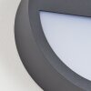 Applique murale d'extérieur Nagap LED Anthracite, Blanc, 1 lumière