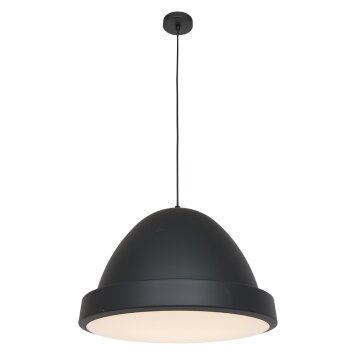 Suspension Steinhauer Nimbus Noir, 1 lumière