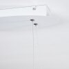 Suspension Pitasch LED Blanc, 1 lumière