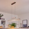 Suspension Inicio LED Nickel mat, 5 lumières