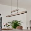 Suspension Inicio LED Nickel mat, 5 lumières