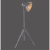 Lampadaire Leuchten-Direkt SAMIA Gris, 1 lumière
