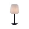 Lampe de table Paul Neuhaus FALTER Anthracite, 1 lumière