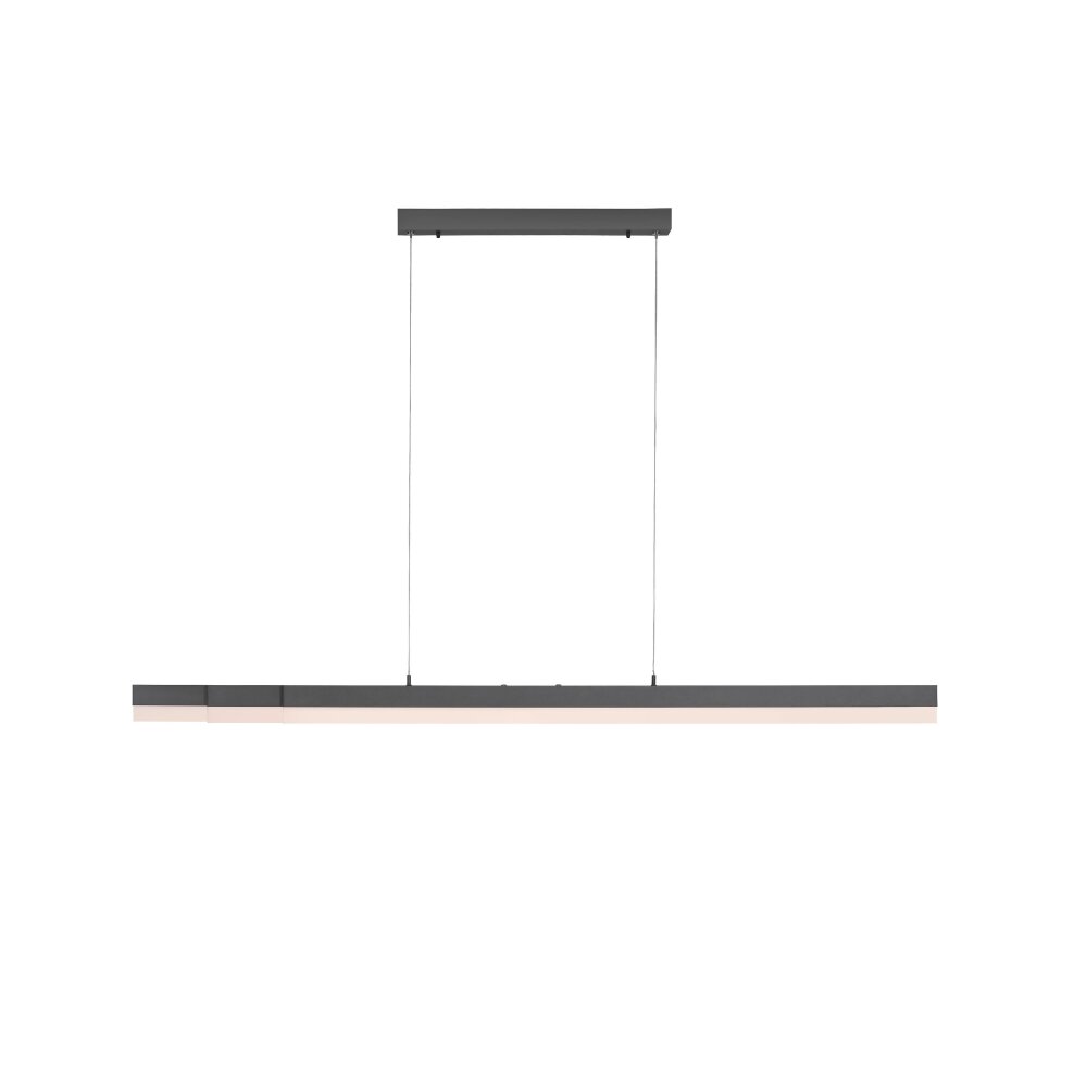 Suspension Paul Neuhaus SINA LED Noir, 3 lumières main product photo