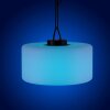 Suspension Leuchten Direkt HOLLY LED Noir, Blanc, 1 lumière, Changeur de couleurs