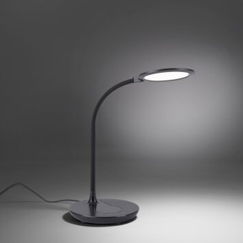 Lampe de table Leuchten Direkt ASTRID LED Noir, 1 lumière