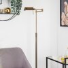 Lampadaire Norrlida LED Laiton, 1 lumière