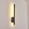 Applique murale d'extérieur Tydinge LED Anthracite, 1 lumière