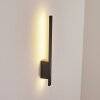 Applique murale d'extérieur Tydinge LED Anthracite, 1 lumière