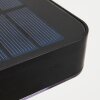 Lampe solaires Bondarp LED Noir, 1 lumière, Détecteur de mouvement