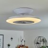 Ventilateur de plafond Chaville LED Blanc, 1 lumière, Télécommandes