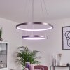 Suspension Canisteo LED Argenté, 2 lumières, Télécommandes, Changeur de couleurs