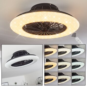 Ventilateur de plafond Piraeus LED Noir, 1 lumière, Télécommandes